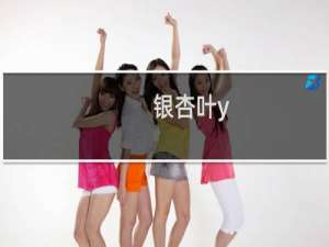 银杏叶y