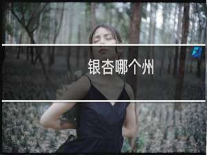 银杏哪个州