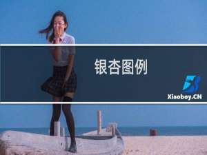银杏图例