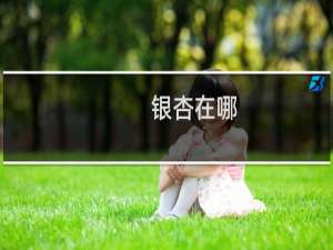 银杏在哪