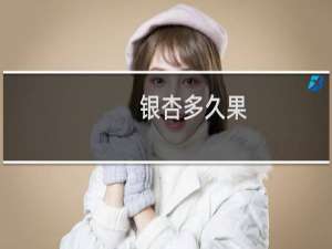 银杏多久果