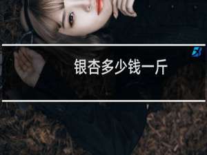 银杏多少钱一斤