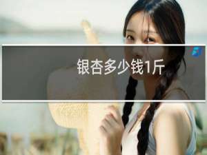 银杏多少钱1斤