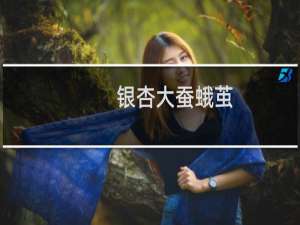 银杏大蚕蛾茧