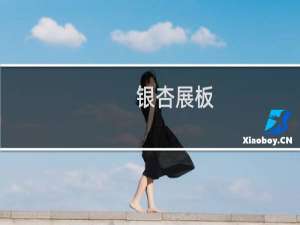 银杏展板