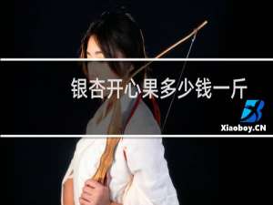 银杏开心果多少钱一斤