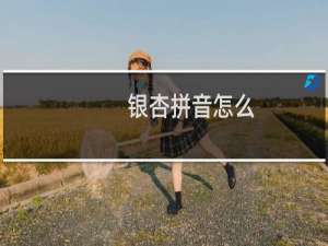 银杏拼音怎么