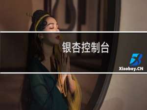 银杏控制台