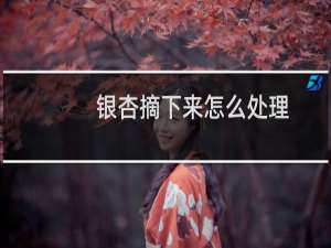 银杏摘下来怎么处理