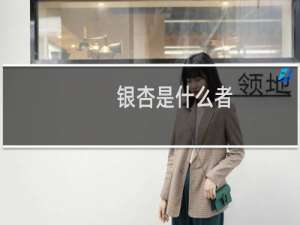 银杏是什么者
