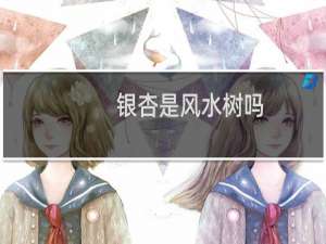 银杏是风水树吗