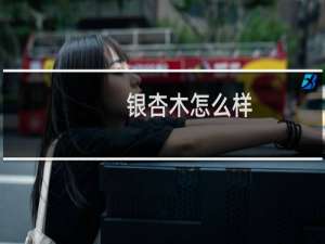 银杏木怎么样