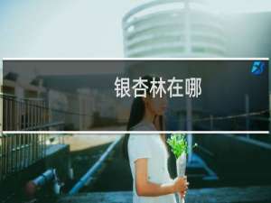 银杏林在哪