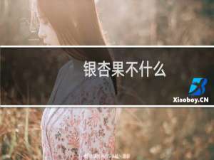 银杏果不什么