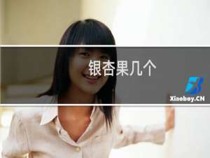 银杏果几个