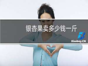 银杏果卖多少钱一斤
