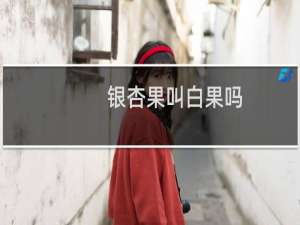 银杏果叫白果吗