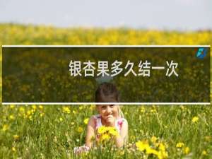 银杏果多久结一次