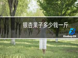 银杏果子多少钱一斤