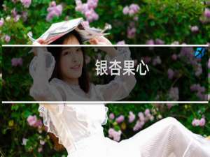 银杏果心