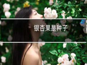 银杏果是种子