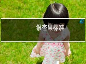 银杏果标准