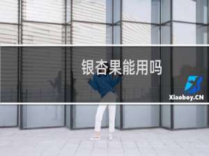 银杏果能用吗