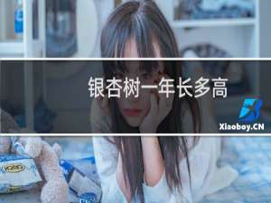 银杏树一年长多高