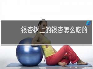 银杏树上的银杏怎么吃的