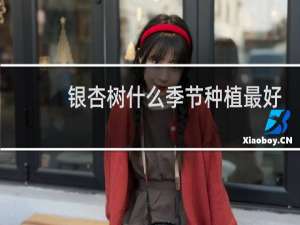 银杏树什么季节种植最好