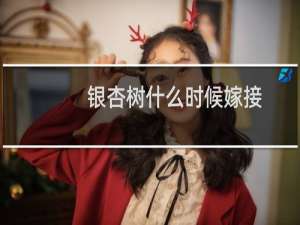 银杏树什么时候嫁接