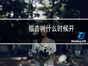 银杏树什么时候开