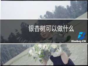银杏树可以做什么