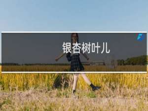 银杏树叶儿
