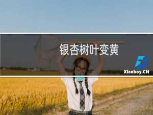 银杏树叶变黄