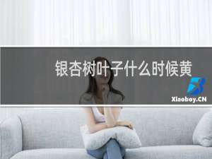 银杏树叶子什么时候黄