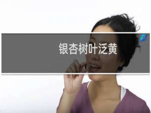 银杏树叶泛黄