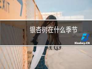 银杏树在什么季节