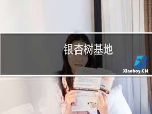 银杏树基地