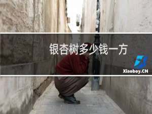 银杏树多少钱一方