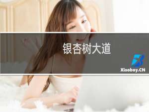 银杏树大道