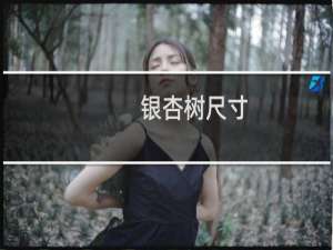 银杏树尺寸
