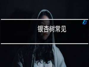 银杏树常见