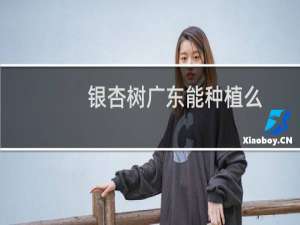 银杏树广东能种植么