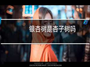 银杏树是杏子树吗