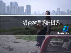 银杏树是落叶树吗