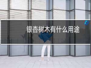银杏树木有什么用途