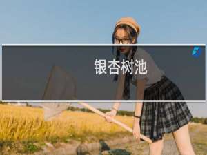 银杏树池