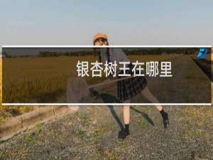 银杏树王在哪里