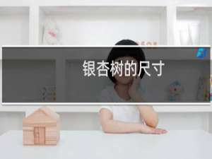银杏树的尺寸